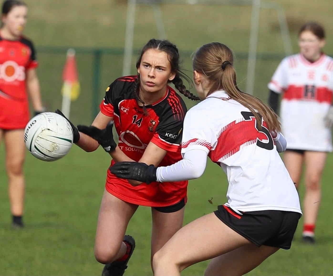 County Representation